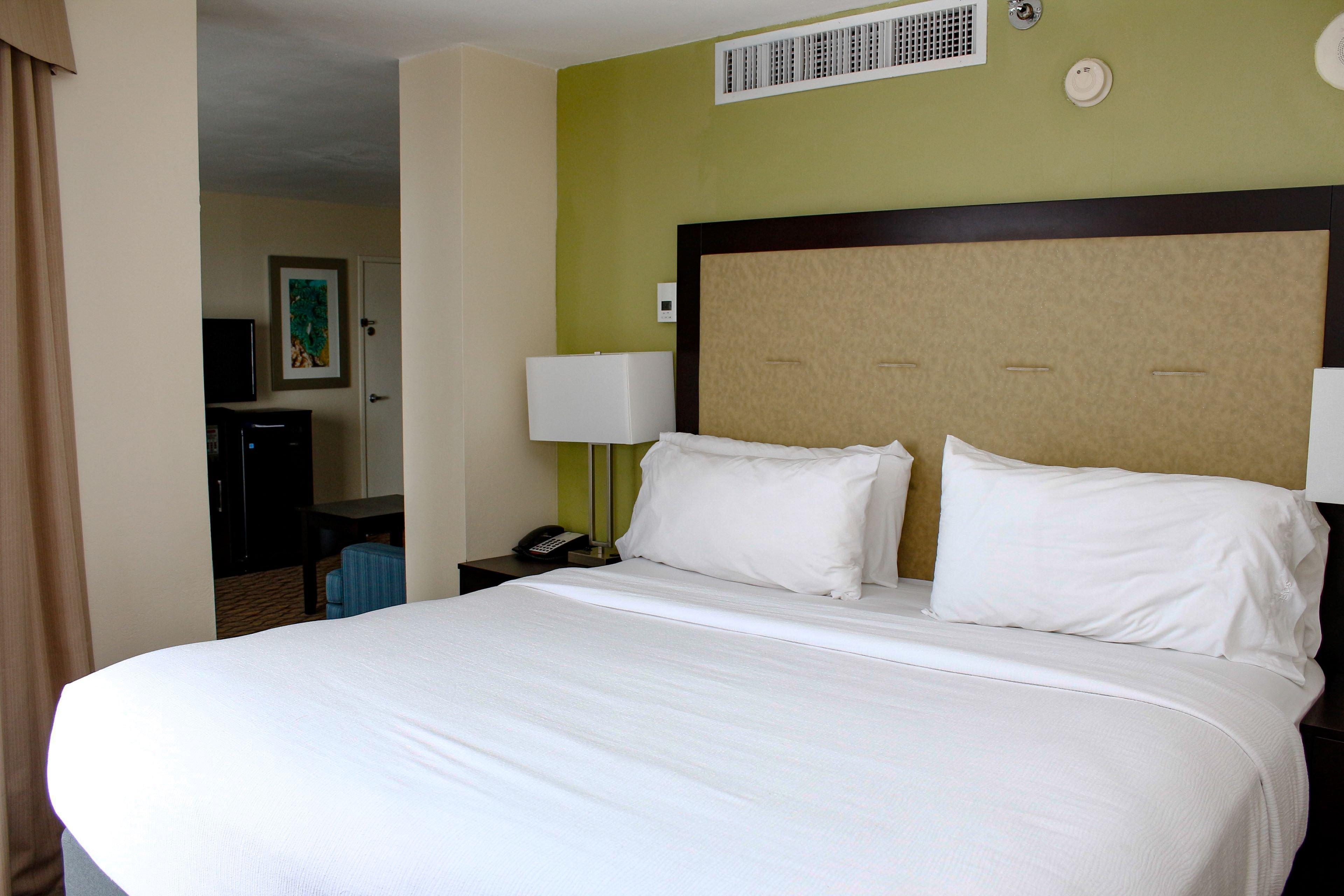 Holiday Inn Corpus Christi Downtown Marina By Ihg Exterior foto