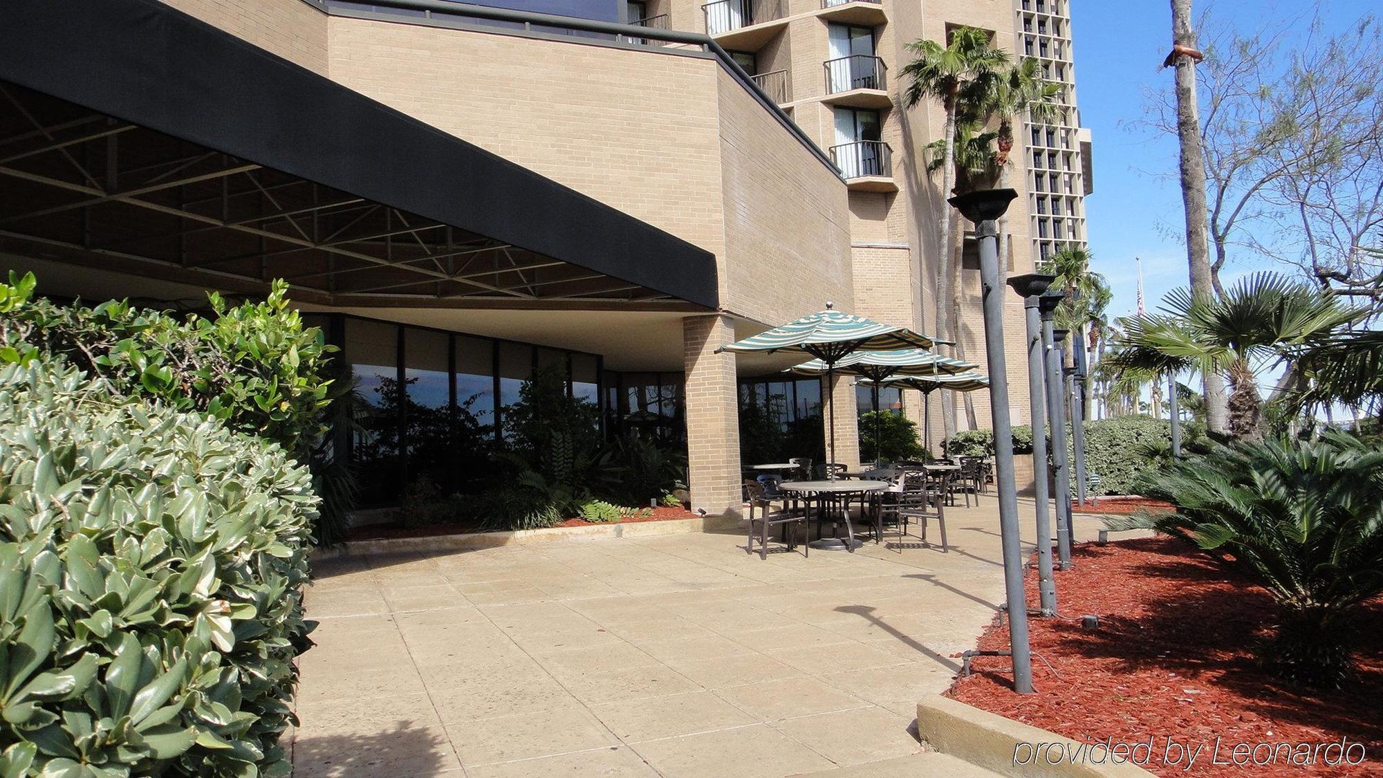 Holiday Inn Corpus Christi Downtown Marina By Ihg Exterior foto